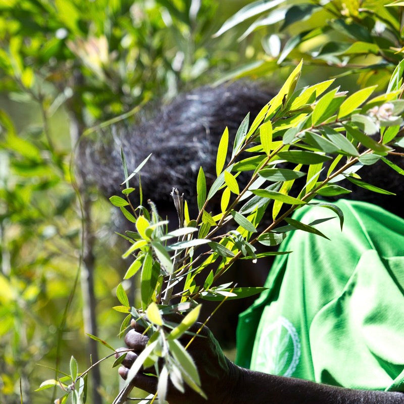 Breathe Easy Gift Bag