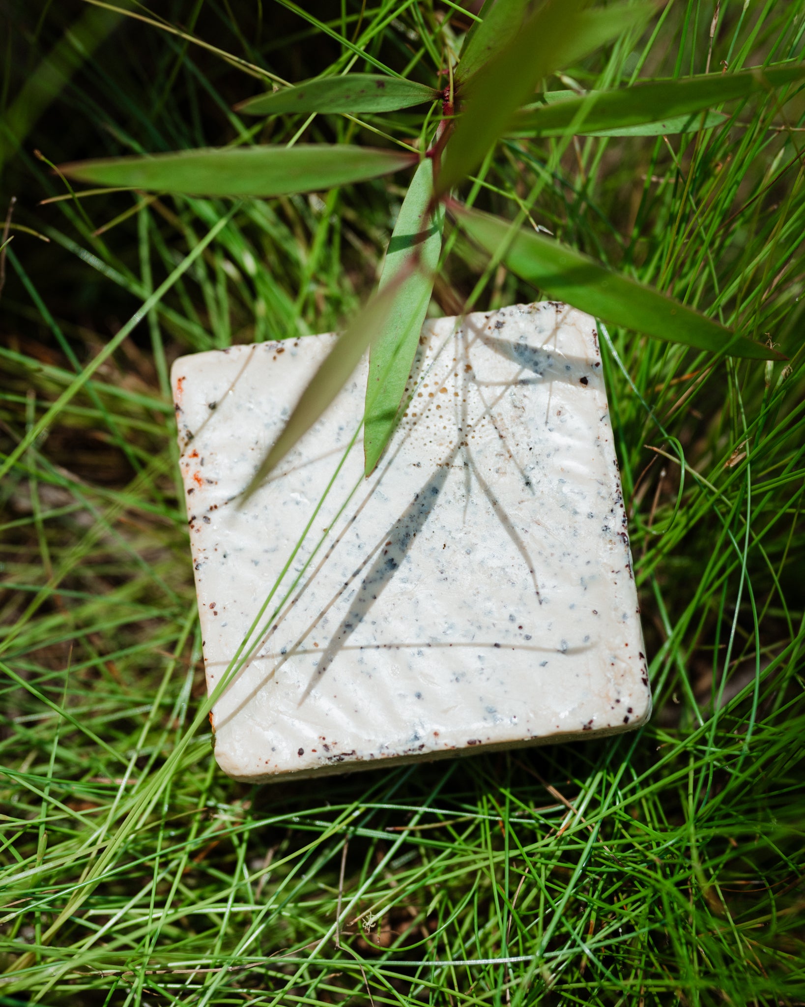 Mawilyaburna Clay + Ochre Scrub