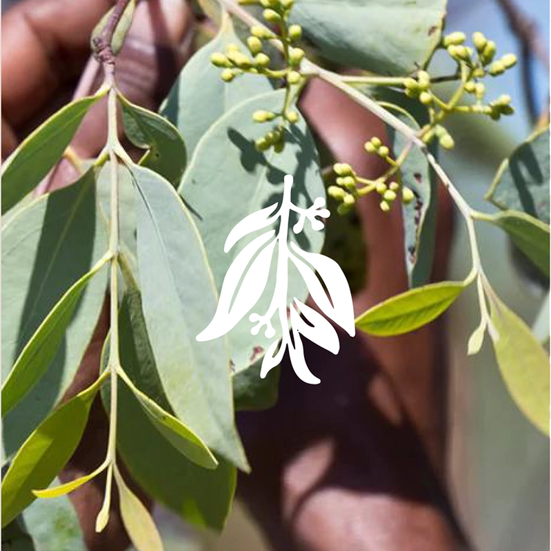 Skin Soothe Gift Bag