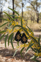Merrika Earrings